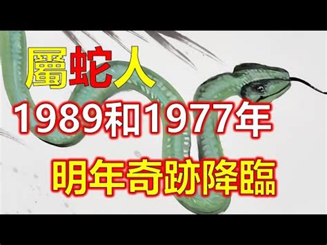 屬蛇五行|屬蛇人的五行是什麼？從五行看生肖蛇財運！